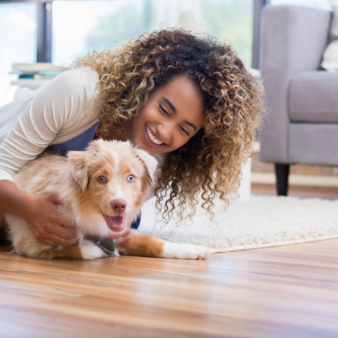 How to Train a Puppy at Home