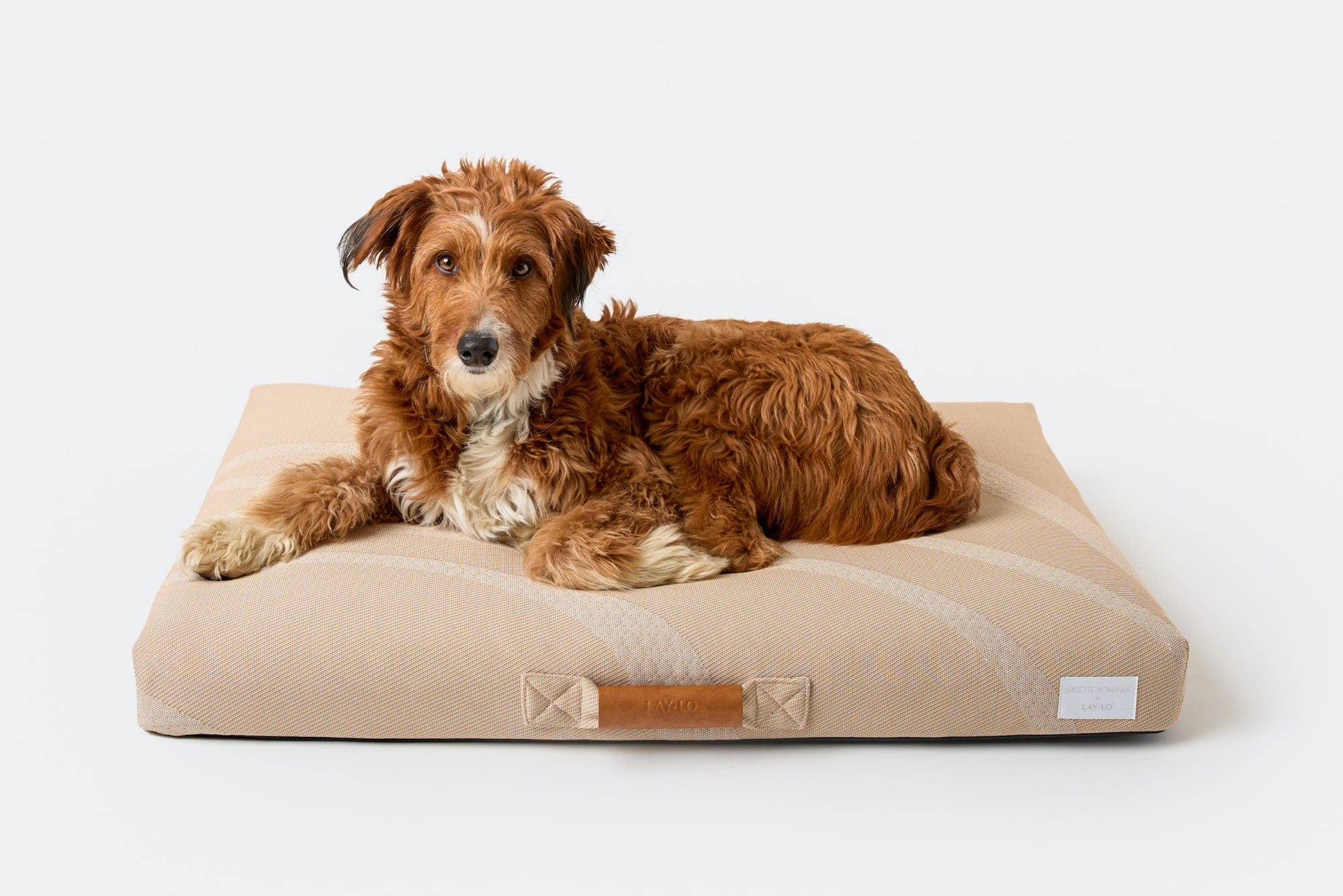 LAY LO™ Pets Brigette Romanek Brigette Romanek | Taupe Dog Bed or Bed Cover Lay Lo Pets