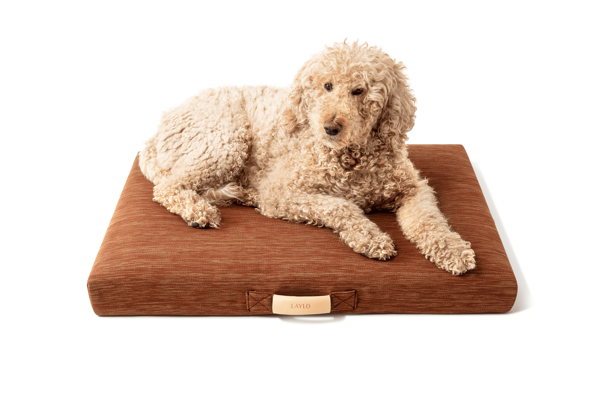 Fable  Dog Bed - Modern Designs for Small and Big Dogs