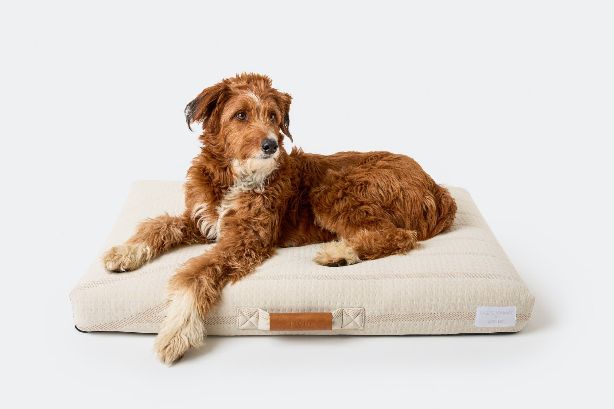 LAY LO™ Pets Romanek Brigette Romanek | Cream Dog Bed or Bed Cover Lay Lo Pets