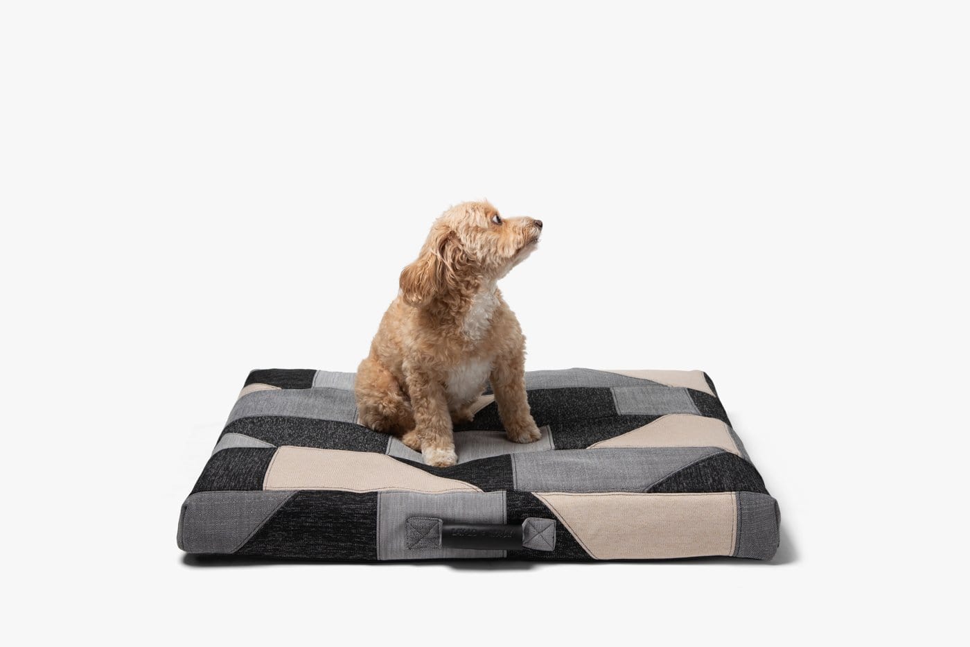 Louis Vuitton dog bed cute  Cute dog clothes, Pet bed, Puppy beds
